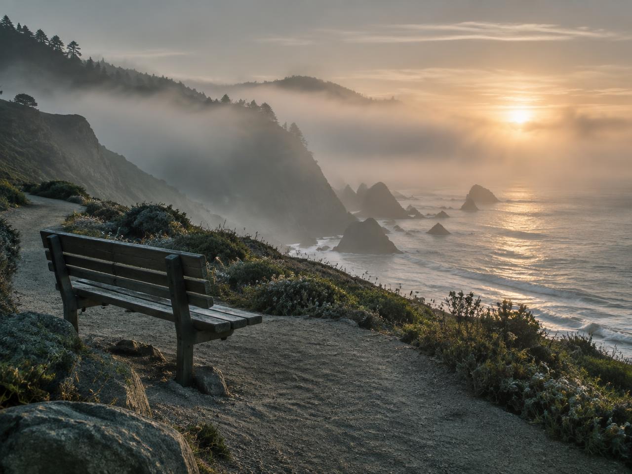 Quiet coastal trail at sunrise